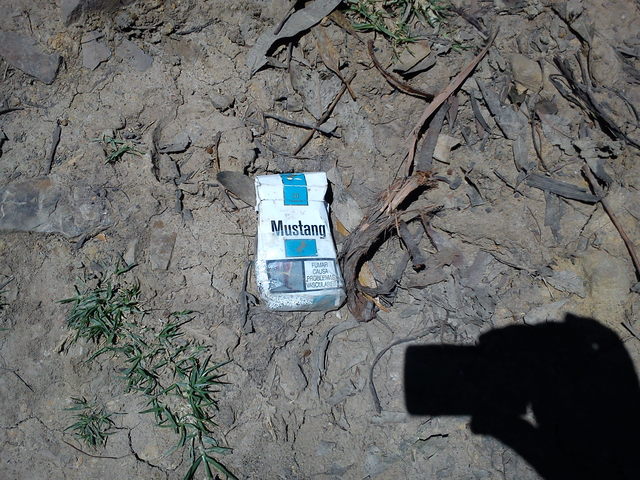 Y los adultos también?...