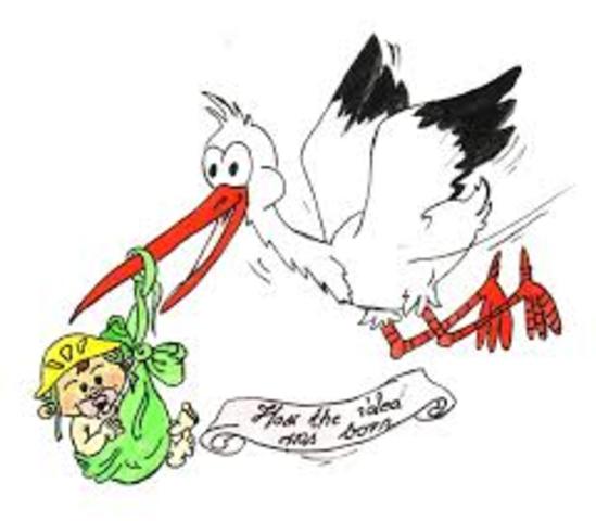 She was born on november 19th /1985