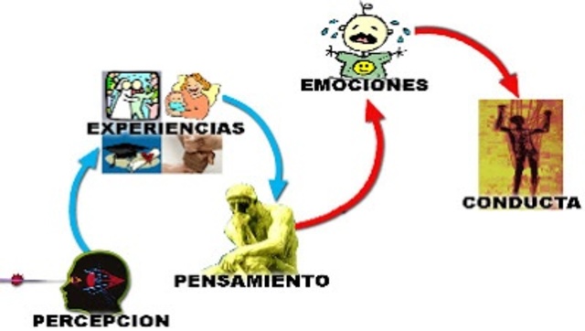 Ciencia conductual y teoría de aprendizaje Skinner