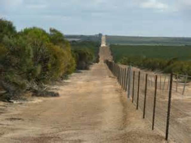 Rabbit-Proof Fence