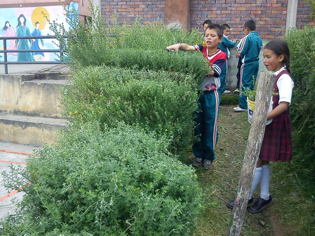 Desde aquí contra la corriente.