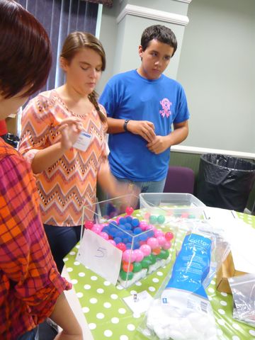 NanoChallenge Chipola College