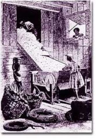 The Crowning of King Cotton