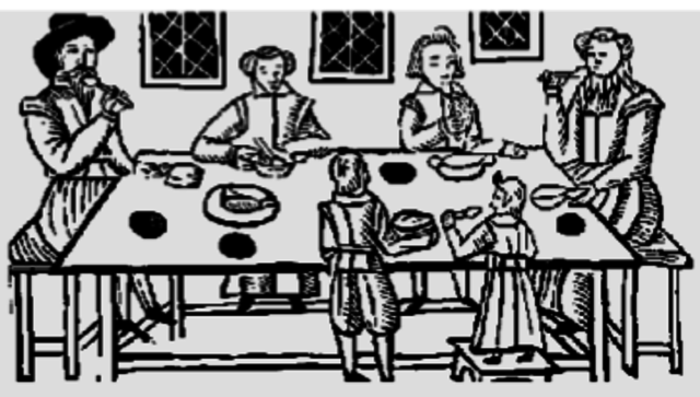 Protector del adulto