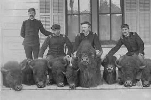 Diminished Buffalo Herds