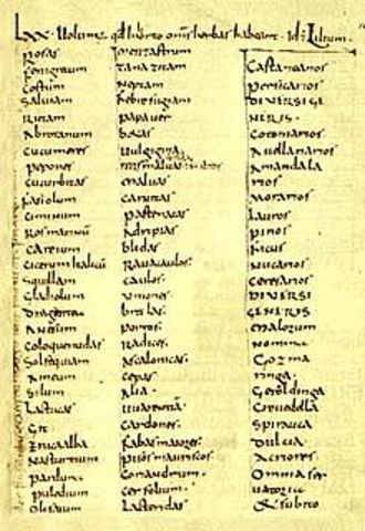 ESCUELAS CAROLINGIAS SIGLO VIII-IX