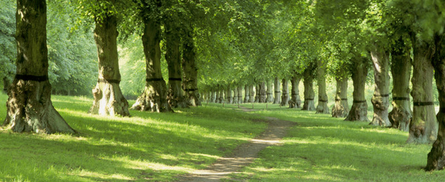 1st Day at Clumber (Gareth & Tom)