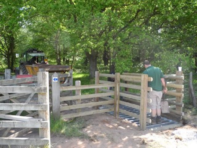 Cattle Grid (Gareth & Vols)