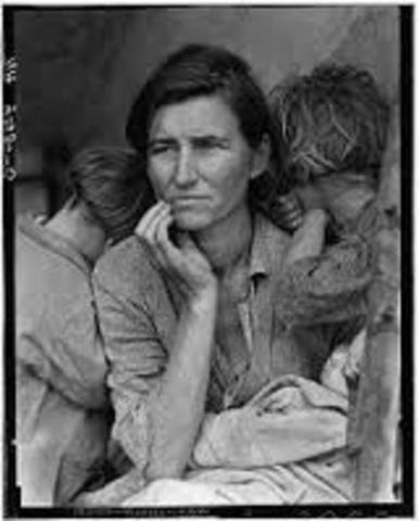 Agricultural Adjustment Act   USC 1301–1393