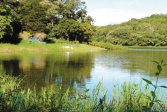 Día Mundial de los Humedales