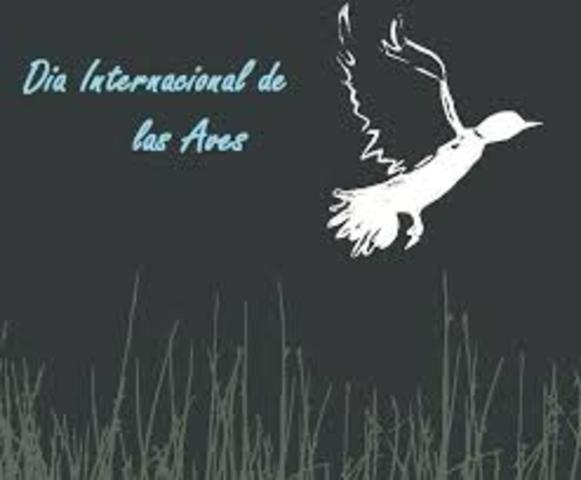 Día Mundial de las Aves Migratorias