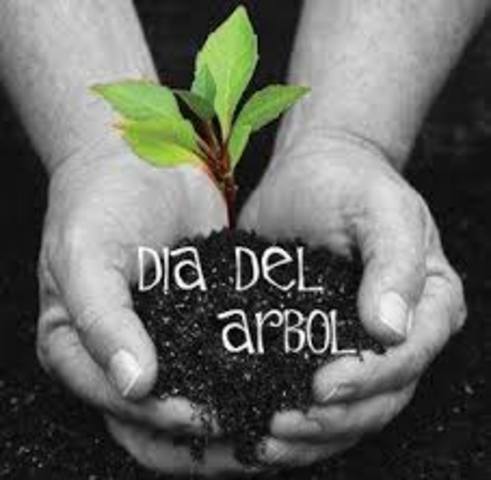Día Internacional del Árbol