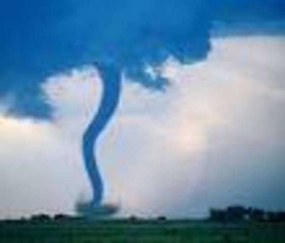 TEXAS TORNADOES