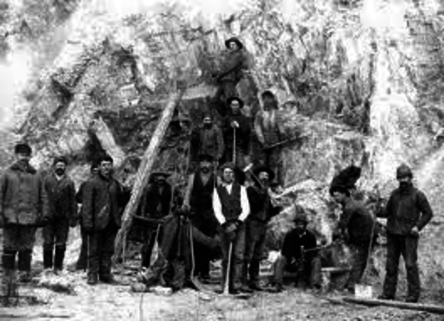 Gold in the Black Hills