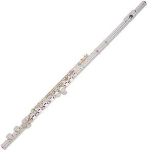 Help middle school band students my senior year