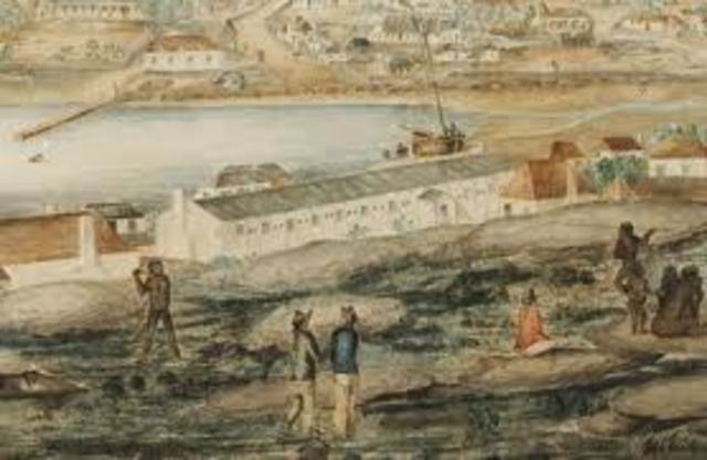 Colony Well Established