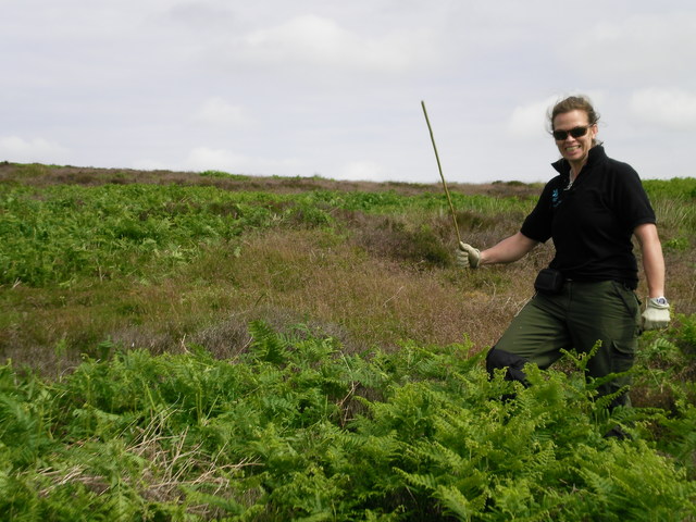 Bracken Bashing (Hollie & CMV Rangers)