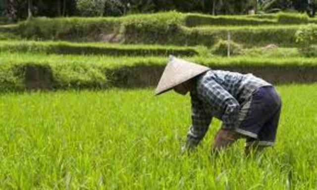 Landbrug og folketal