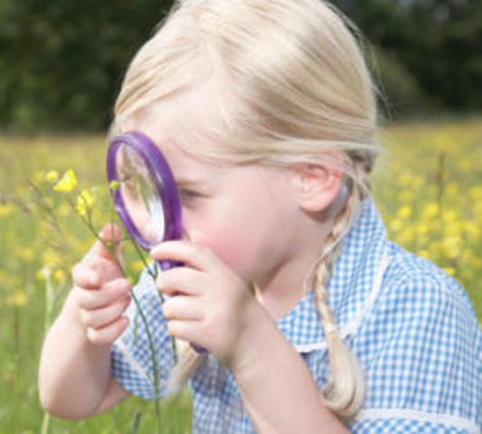 Un sentido innato Siglo XVIII