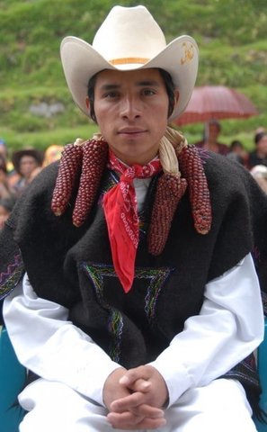 5.	DESARROLLO (Amaro 1999)