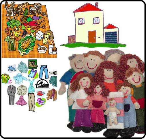 Enfoque de las necesidades básicas