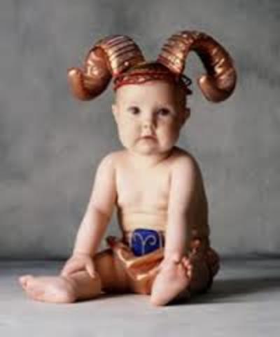 Concepción Segun Aries