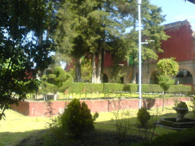 Ingreso a CBITIS 161