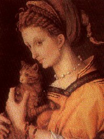 El Gato Durante el Renacimiento Siglo xv