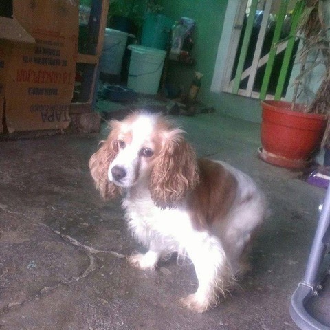 Nacimiento de mi hija :3