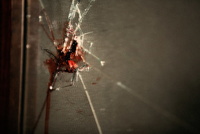 No estaba en mis planes...