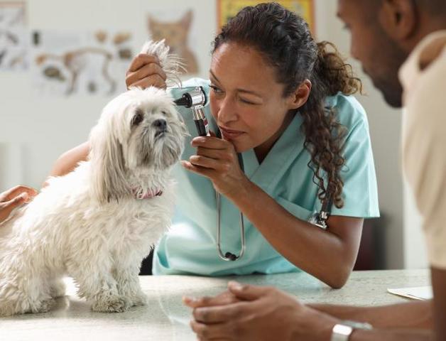 Titulación licenciatura