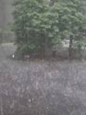 THE GRETEST RAINFALL