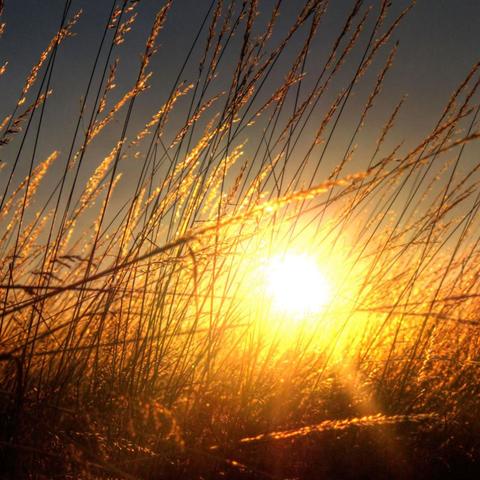 Meeting Liberty 5-3000