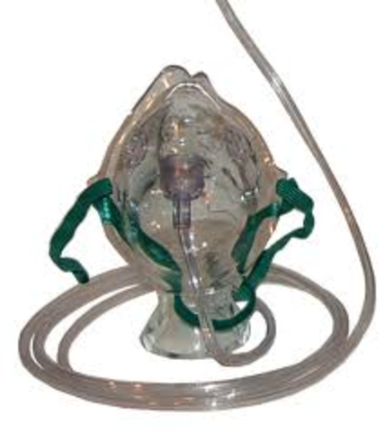 Breathing and Circulation