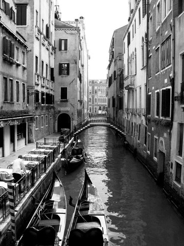 crecimiento de venecia