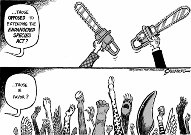 Endangered Species Act