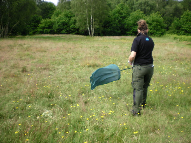 Bug hunting (Hollie, Bob and Alan Binding)