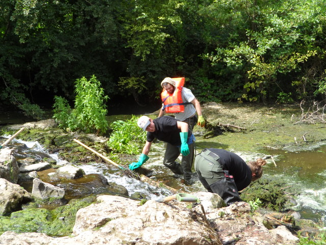 Cleaning out the cascade (Hollie & Vols)