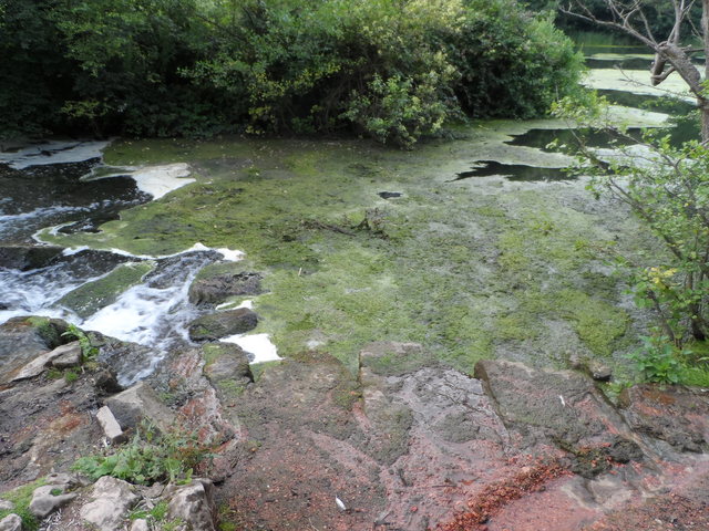 Lake Sampling (Carl Hawke)