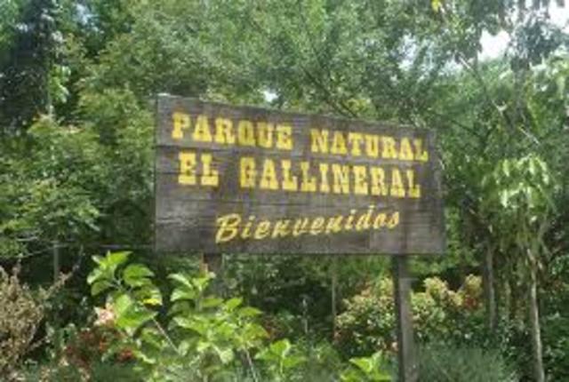 PARQUE GALLINERAL