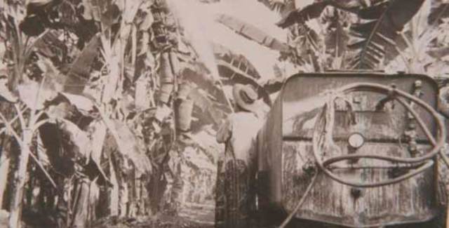 masacre en la bananeras