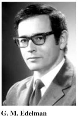 R.R. Porter y G.M. Edelman