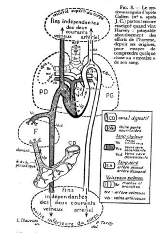 Creador de la Medicina Europea