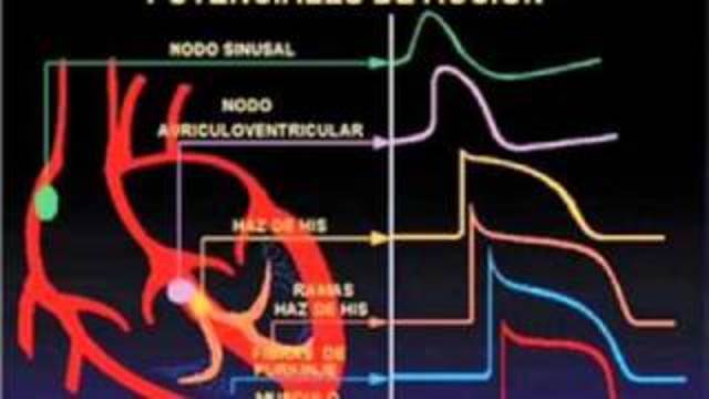 Nòdulo de Keith-Flack