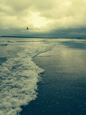 Moved to Wilmington,NC