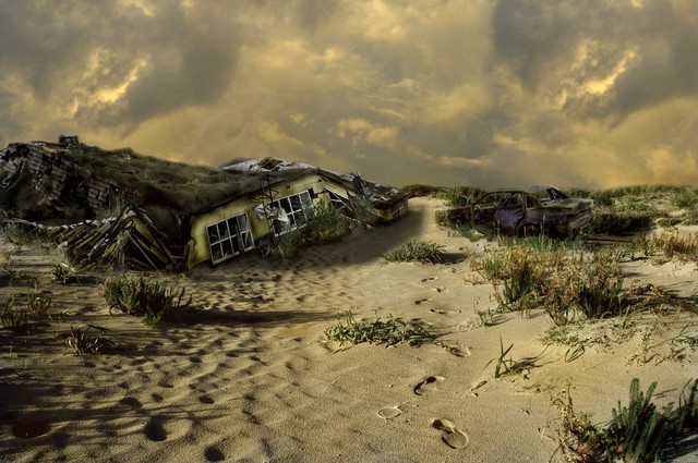 Arrival At The Beach