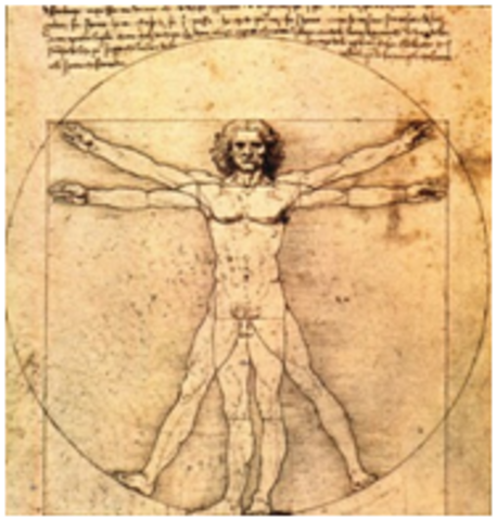 El renacimiento e inicios del siglo XIX