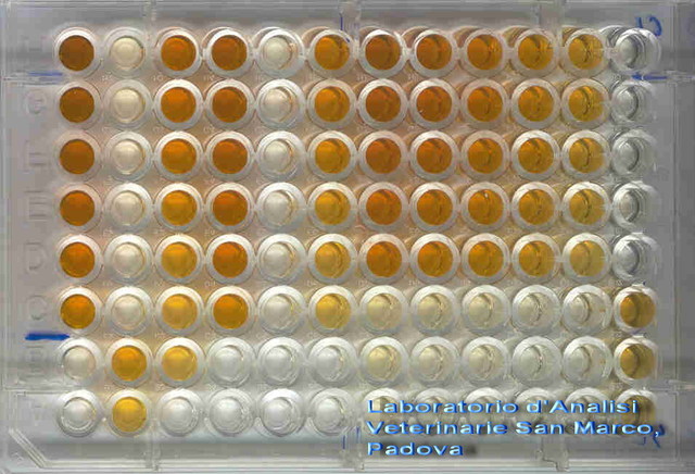 Perfección de métodos.