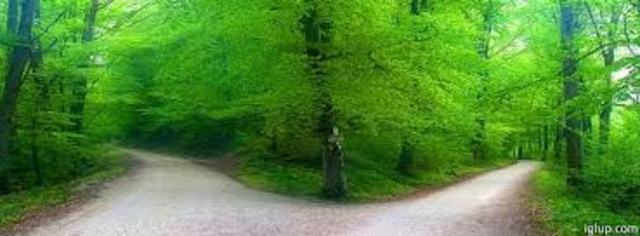 Elegí primera profesión