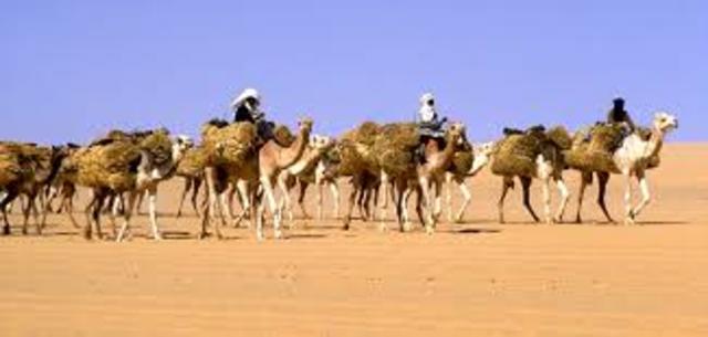 Camels first brought into Africa from Asia  100 B.C.E
